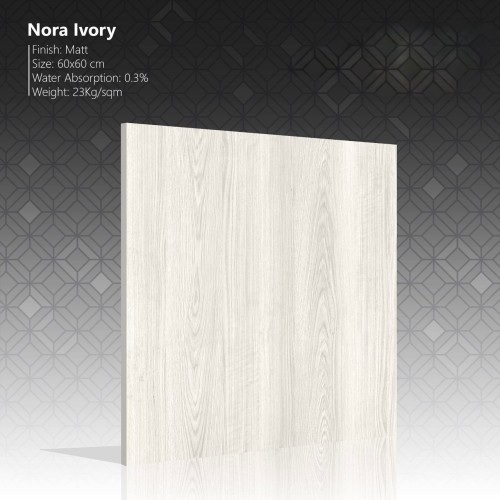 Ceramic/Porcelain/Tile